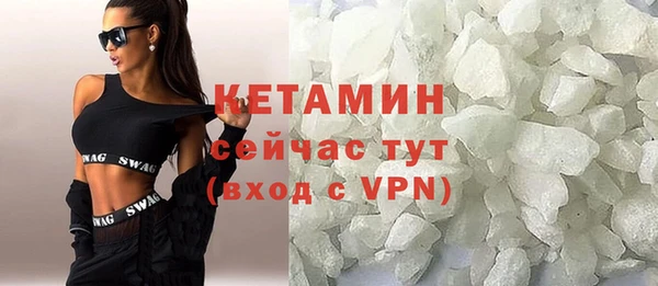 хмурый Аркадак