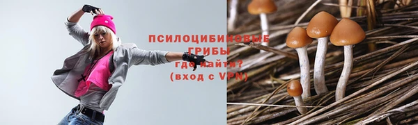 МДМА Арсеньев
