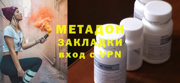 хмурый Аркадак
