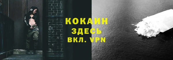 хмурый Аркадак