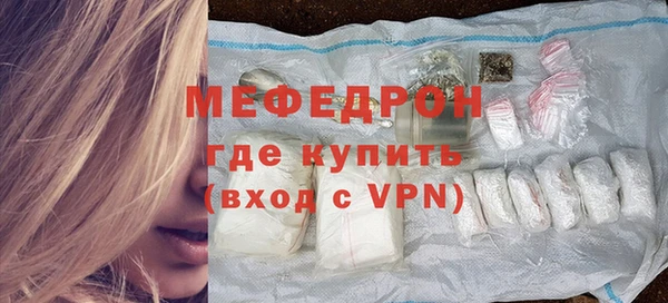 хмурый Аркадак