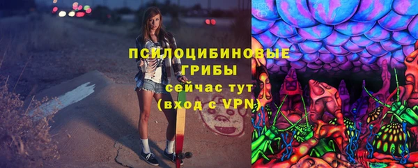 хмурый Аркадак
