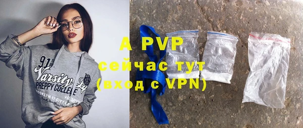 хмурый Аркадак
