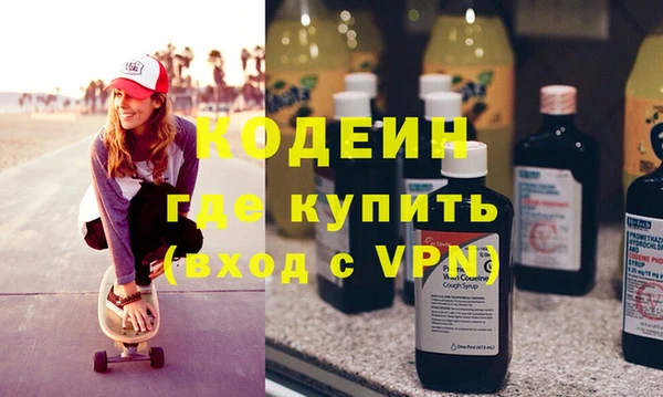 хмурый Аркадак