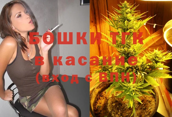 хмурый Аркадак