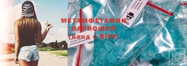 хмурый Аркадак