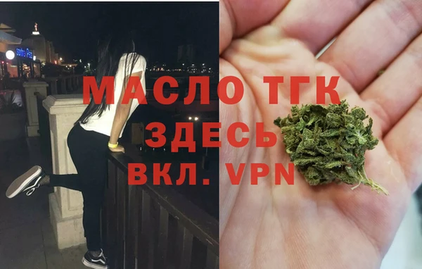 хмурый Аркадак