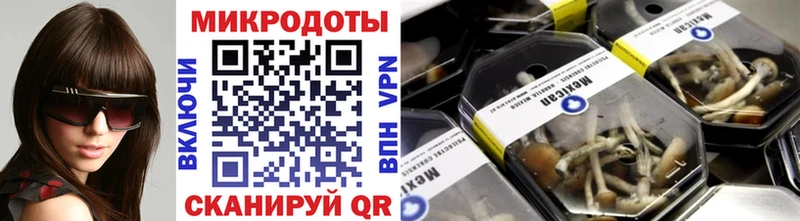 Галлюциногенные грибы Psilocybine cubensis  где найти   Искитим 